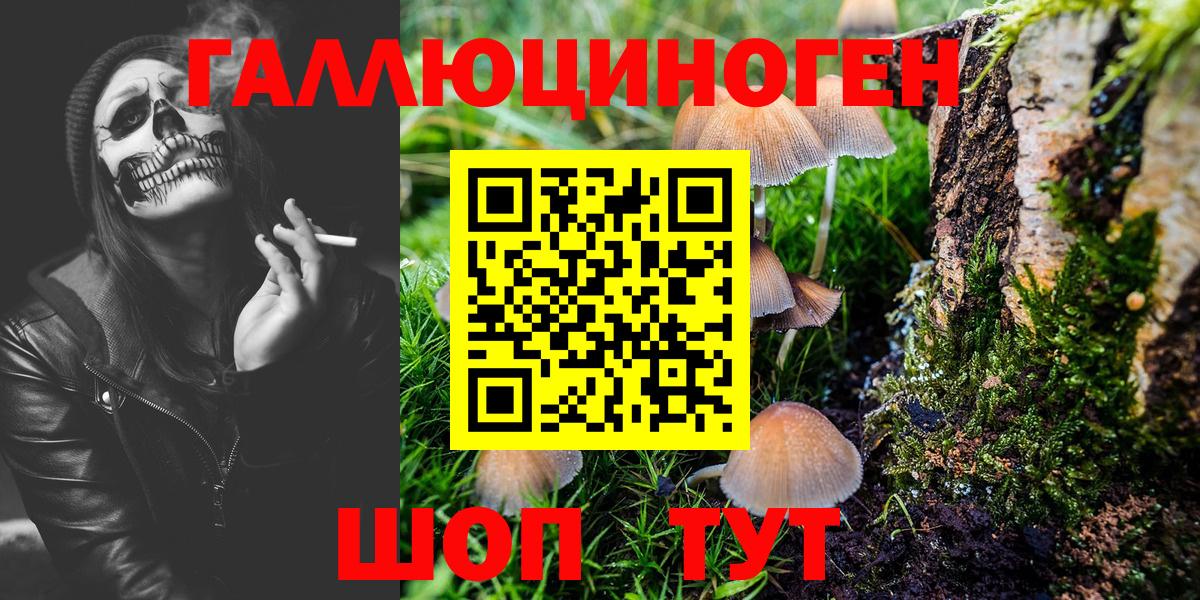 Галлюциногенные грибы мухоморы  Псилоцибиновые грибы Psilocybine cubensis  Вход с VPN  Шебекино 